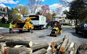 Lawn Renovation and Restoration in Greensboro, NC