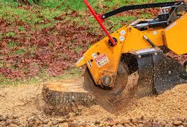 Reliable Greensboro, NC Tree Care Solutions