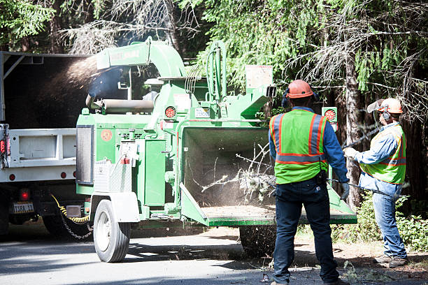 Best Utility Line Clearance  in Greensboro, NC